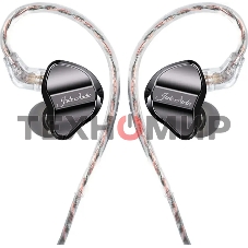 Наушники внутриканальные Fiio JD1 1.2м черный проводные в ушной раковине (80003491)