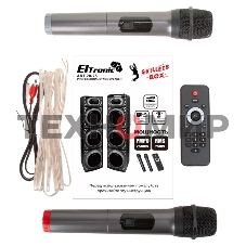 Колонка ELTRONIC 10