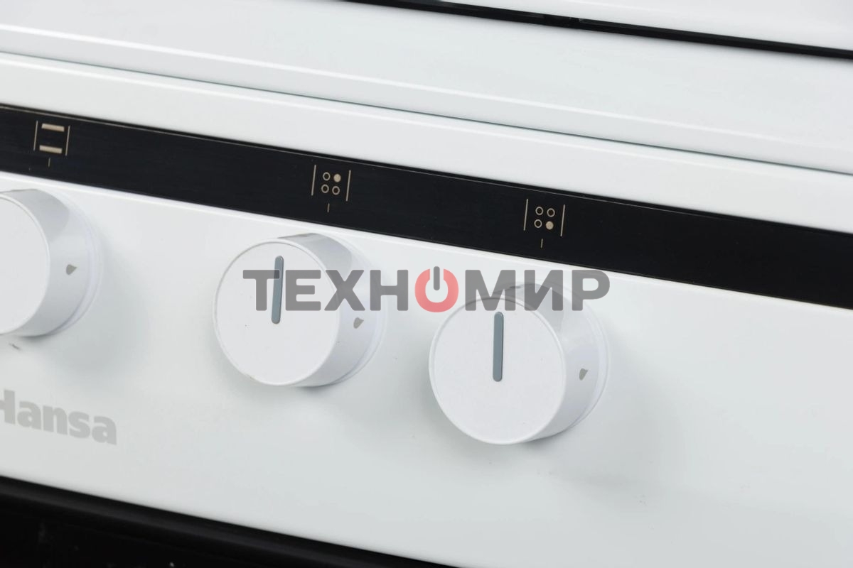 Плита газовая Hansa FCGW61000 белый, конфорок 4 шт, духовка 58 л, 60 см x 85 см x 60 см