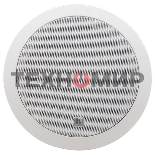 Пара двухполосных громкоговорителей, предназначенных для установки на потолке, с трансформатором; 6,5