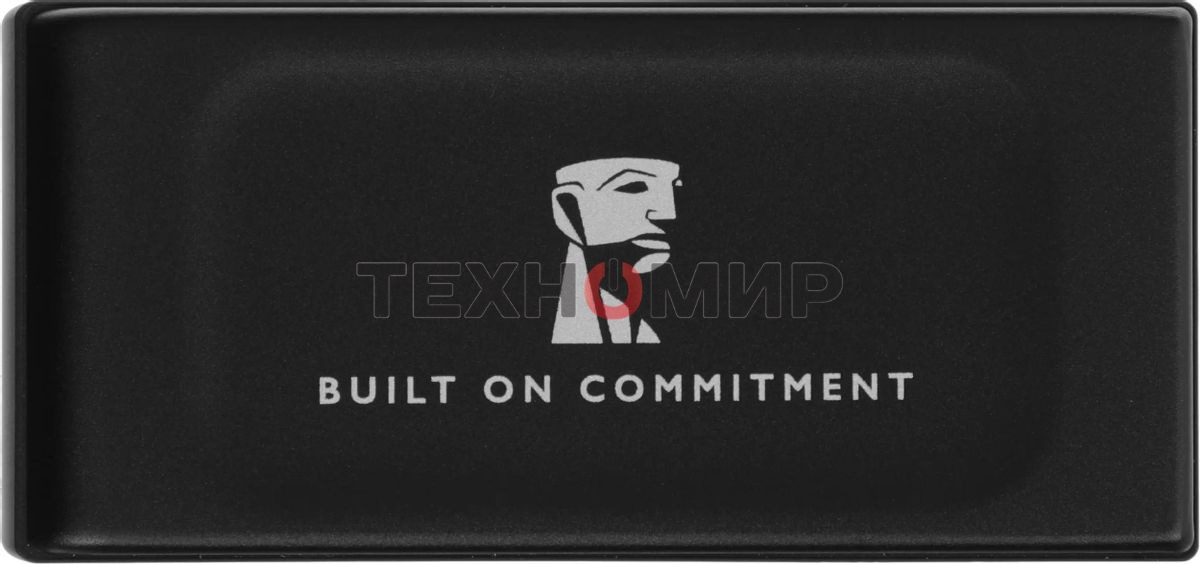 Внешний SSD Kingston XS1000, 1TB, USB 3.2 Gen 2 Type-C, R/W 1050/1000, черный