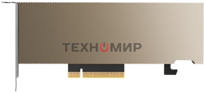 Видеокарта Nvidia Tesla A2, 1 year