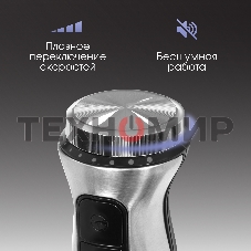 Блендер Zigmund & Shtain BH-241 M