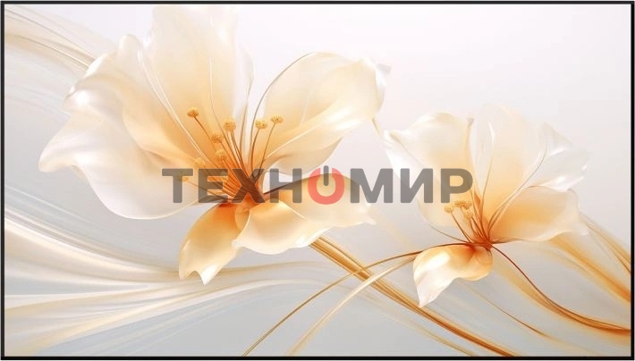 Экран на раме Xgimi 127.6x224.5 см 100