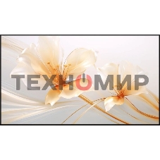 Экран на раме Xgimi 127.6x224.5 см 100