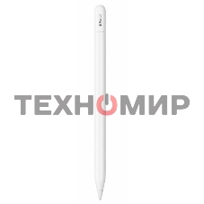 Перо-карандаш Apple Pencil (USB-C)