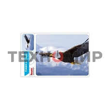 Коврик для мыши Buro BU-M40005 рисунок/орел