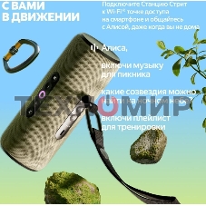 Умная колонка Яндекс Станция Стрит с Алисой, портативная, модель YNDX-00030VIO (фиолетовый)