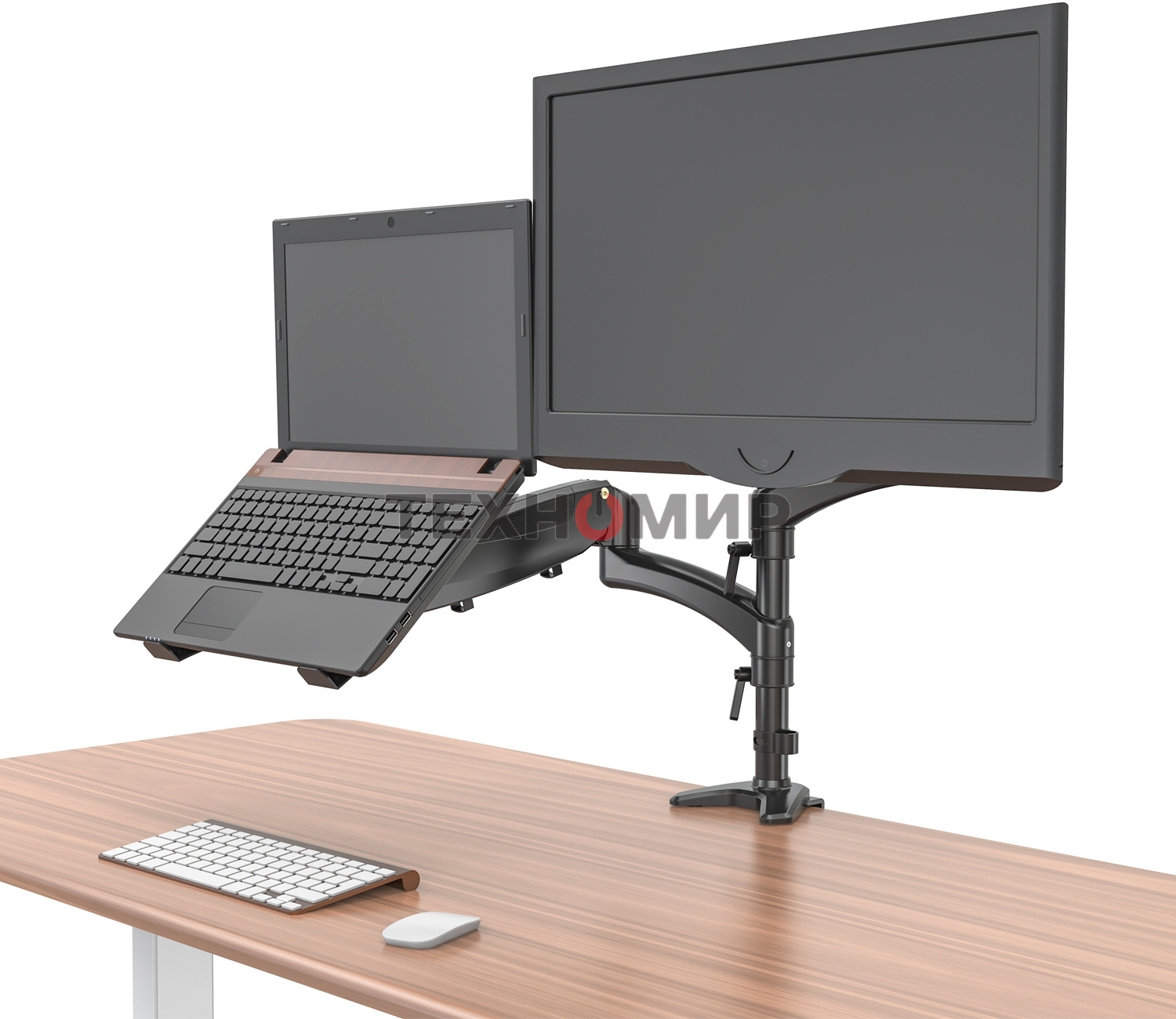 Кронштейн для монитора/ноутбука Cactus CS-VM-LH08-BK черный 13