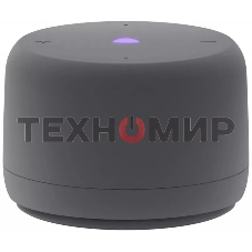 Умная колонка Яндекс Станция Лайт 2 с Алисой, без часов, 6 Вт, модель YNDX-00028 (серый)