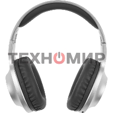 Наушники Panasonic RB-HX220BEES серебристый Полноразмерные Bluetooth наушники с усиленным басом