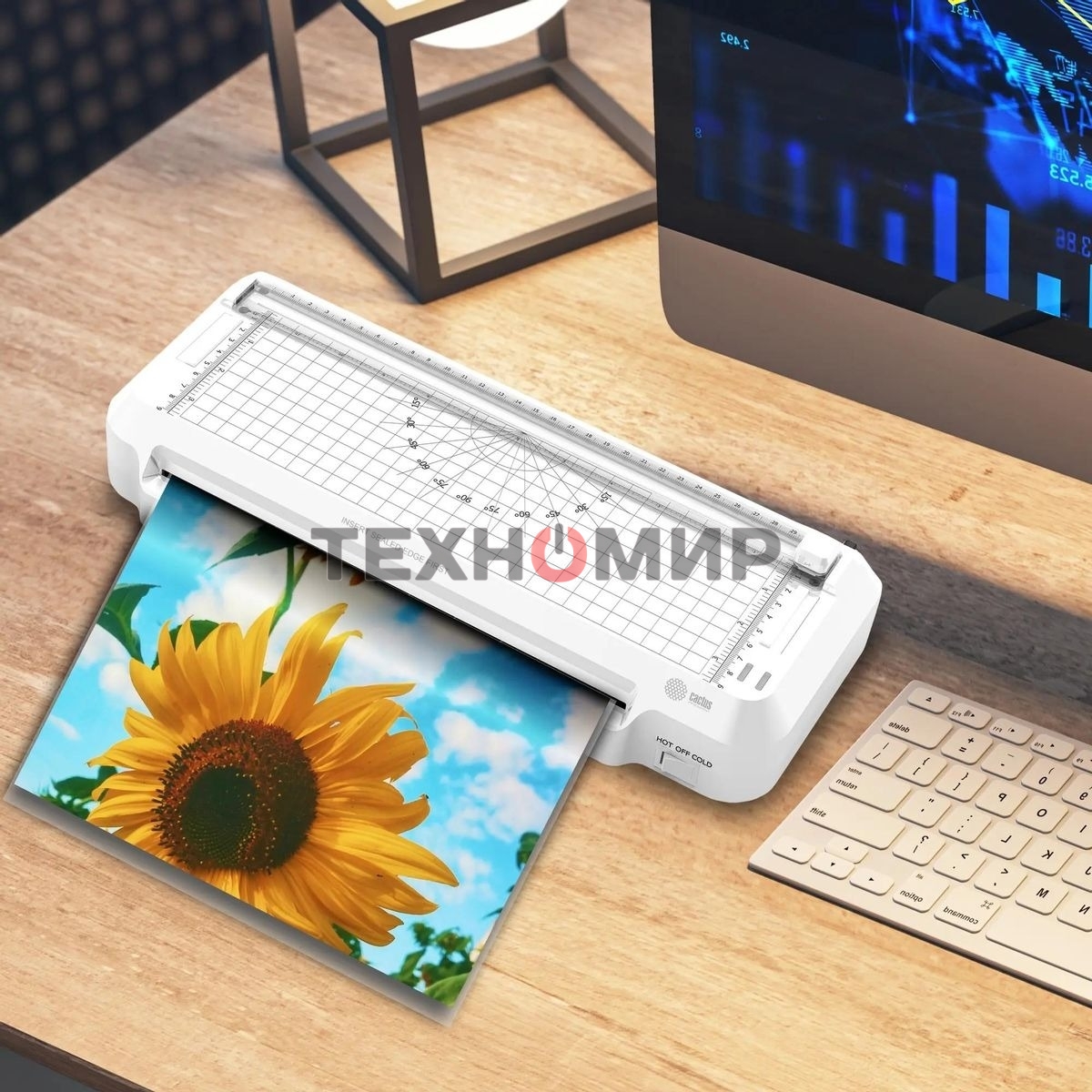 Ламинатор Cactus CS-LAB-F2 белый A4 (70-125мкм) 25 см/мин (2 вал.) хол. лам. лам. фото