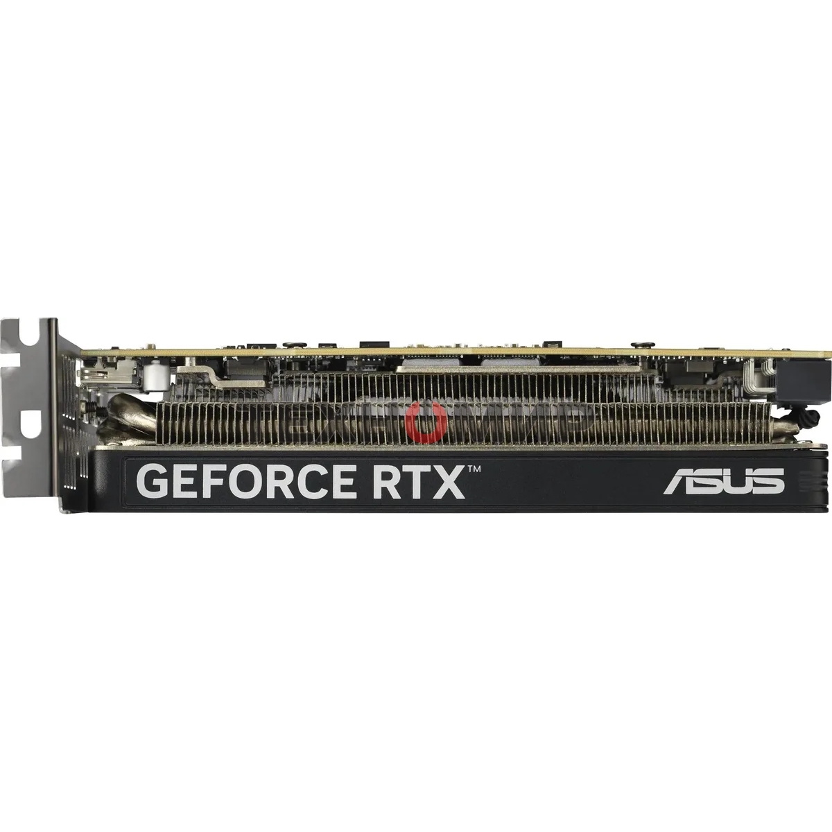 Видеокарта Asus GeForce RTX 5060 LP BRK, NVIDIA RTX 5060, 8Gb, GDDR7, 128 bit, PCI-E 5.0, HDMIx2, DPx1, HDCP, 2580 MHz