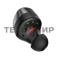 Наушники Sennheiser MOMENTUM True Wireless 4 черный/графит