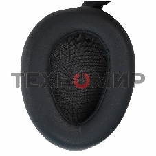 Гарнитура беспроводная Jlab JBuds LuxANC, Duo - Graphite (PN:IEUHBJLUXANCRGPH62/HBJLUXANCRGPH62)