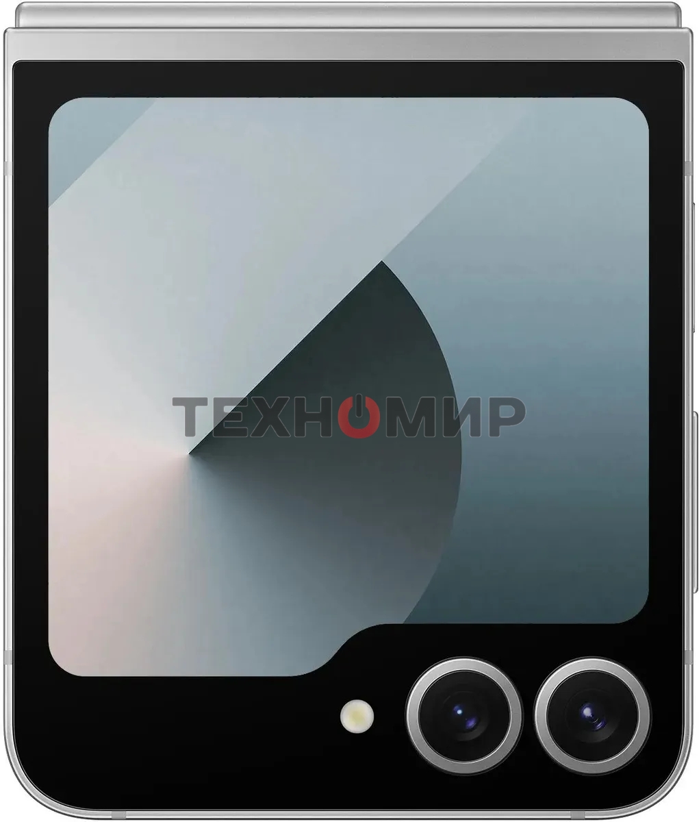 Смартфон Samsung Galaxy Z Flip 6 5G, 12/256Gb, серый