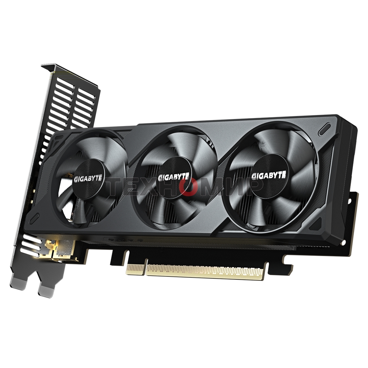 Видеокарта Gigabyte PCI-E 5.0 GV-N5060OC-8GL 1.0 NVIDIA GeForce RTX 5060 8Gb 128bit GDDR7 2512/28000 HDMIx1 DPx3 HDCP Ret low profile