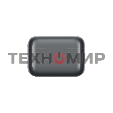 Гарнитура внутриканальные Realme Buds T200 серый беспроводные bluetooth в ушной раковине (6941764462069)