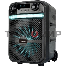 Акустическая система RUIMATECH VA-8610