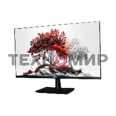 Монитор RDW Computers 23.8