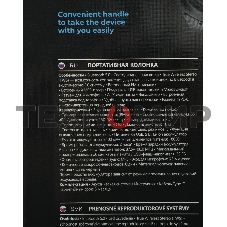 Портативная колонка Defender Boomer 20 20Вт Light/BT/FM/USB/AUX/MIC черный