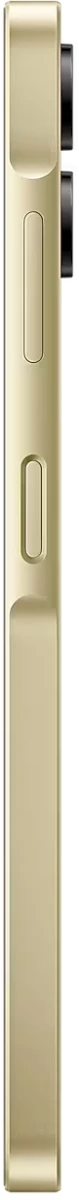 Смартфон Samsung Galaxy A06 SM-A065F 4/64Gb золотистый