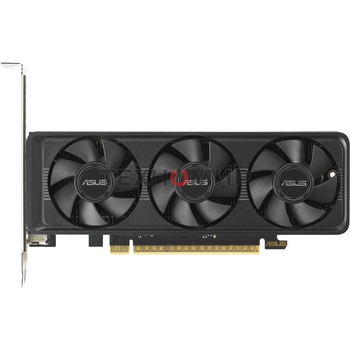 Видеокарта Asus GeForce RTX 5060 LP BRK, NVIDIA RTX 5060, 8Gb, GDDR7, 128 bit, PCI-E 5.0, HDMIx2, DPx1, HDCP, 2580 MHz