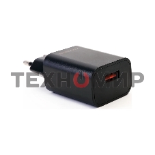 Сетевое зарядное устройство Ergolux ELX-РA01P-C02 ПРОМО 1USB 100-220В 5в/2А пакет черный