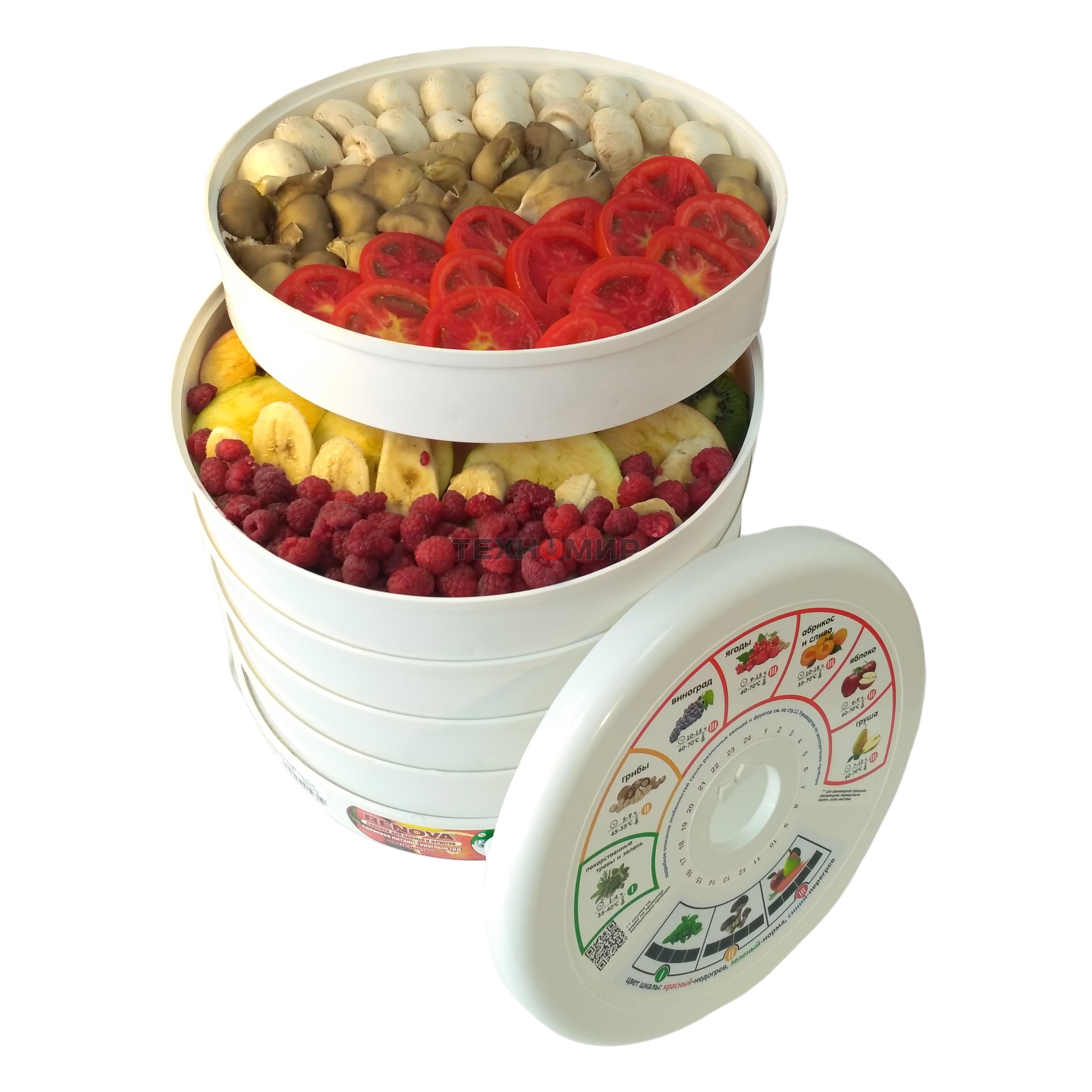 Сушилка для овощей и фруктов Renova DVN31-500/5(R)