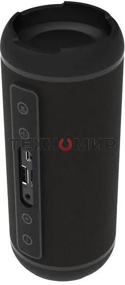 Портативная колонка RITMIX SP-320B черный