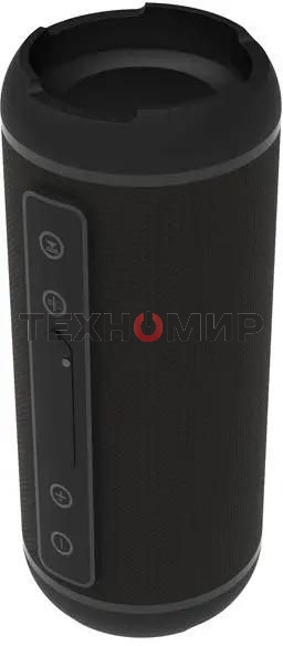 Портативная колонка RITMIX SP-320B черный