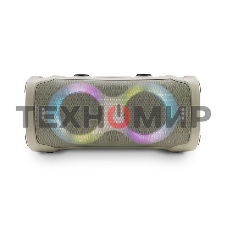 Акустическая колонка ELTRONIC (30-85) DANCE BOX 900 - колонка 06