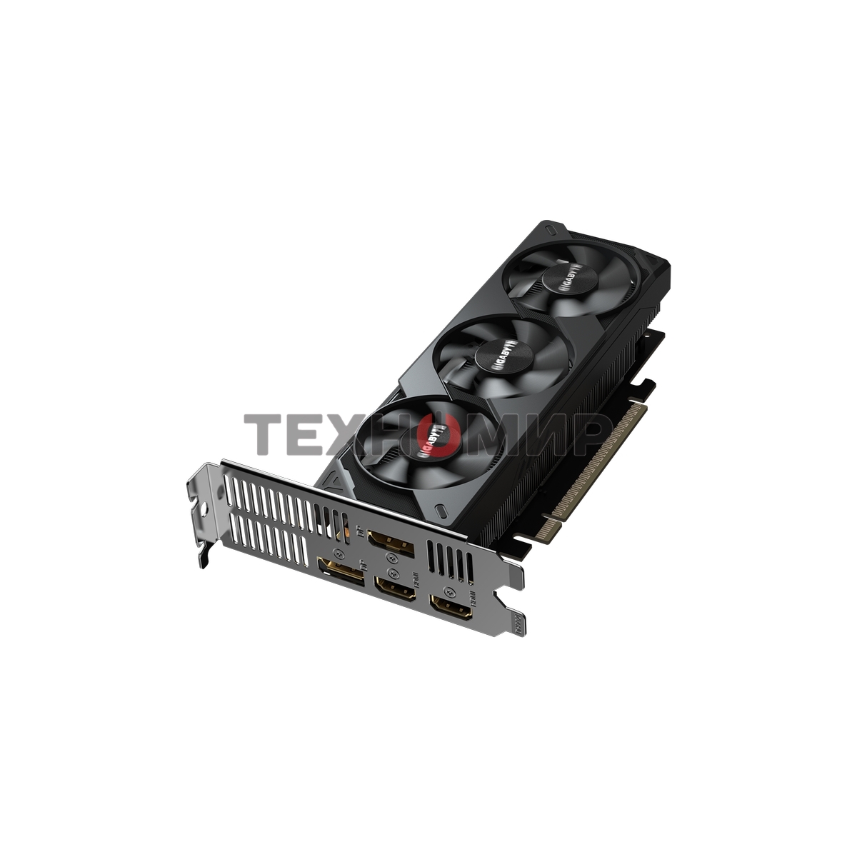 Видеокарта Gigabyte GeForce RTX5050 OC Low Profile, NVIDIA RTX 5050, 8 ГБ GDDR6, 128 бит, PCI-e 5.0, 2xHDMI, 2xDP, 2587 МГц