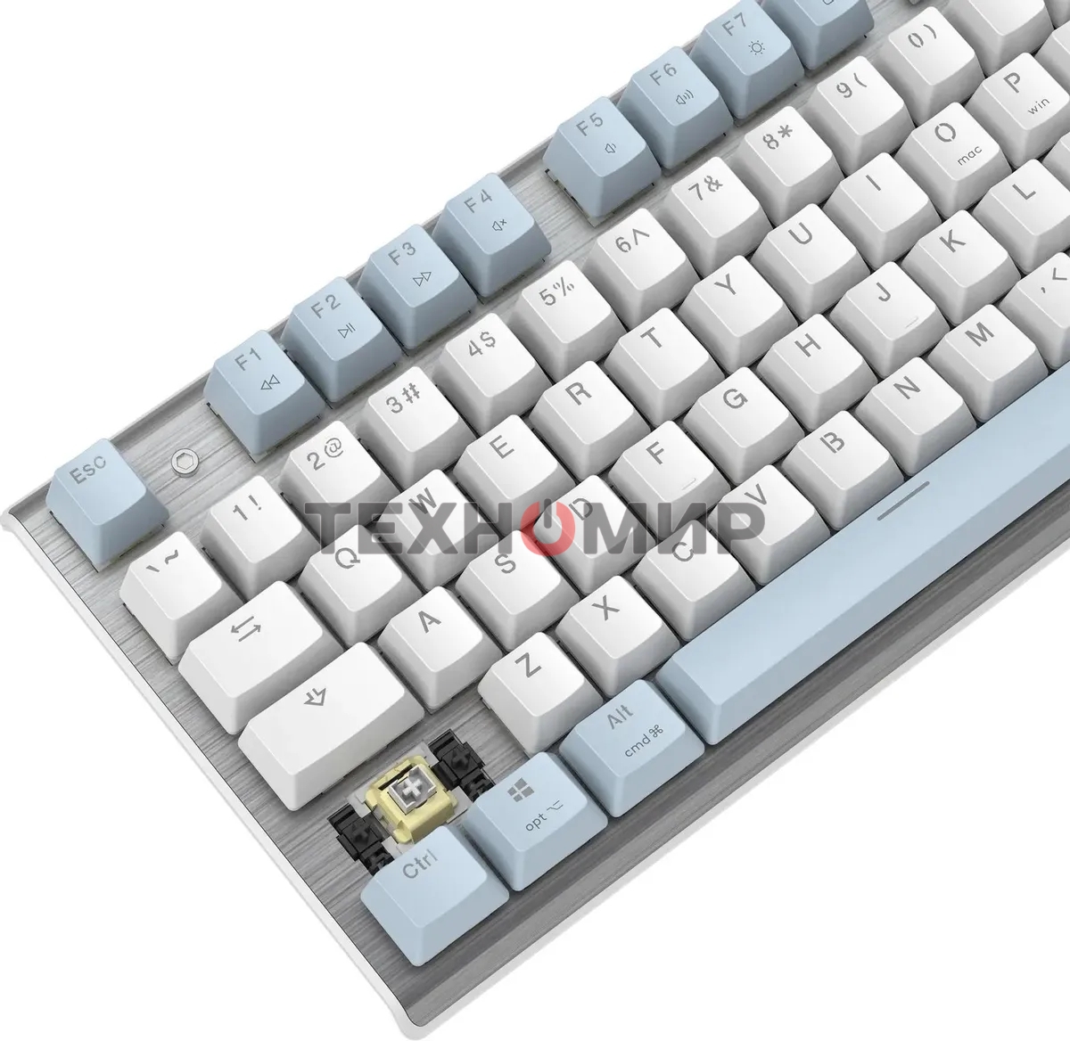 Клавиатура проводная A4Tech Fstyler FS100 Neon, USB, синий/белый