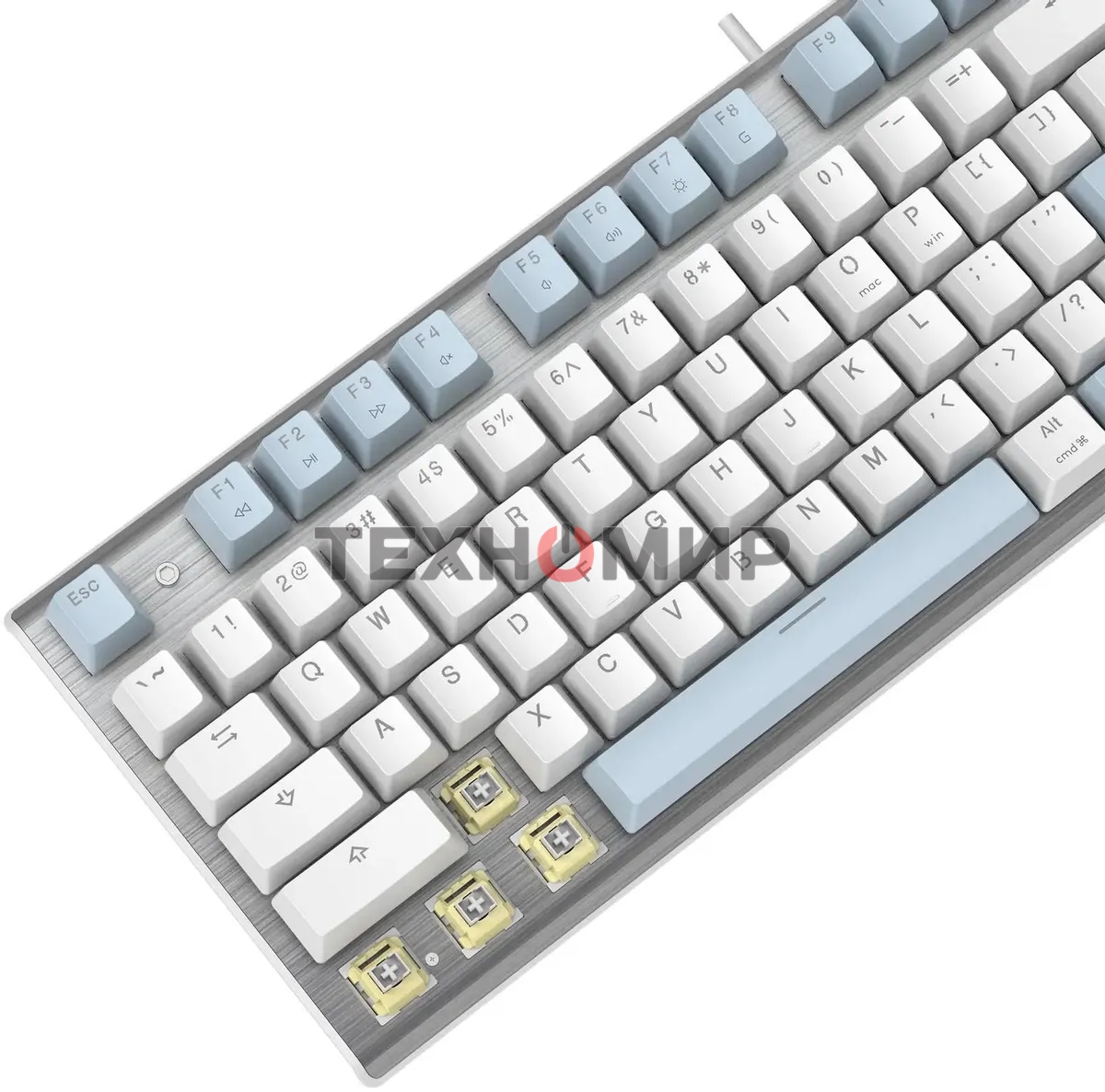 Клавиатура проводная A4Tech Fstyler FS100 Neon, USB, синий/белый