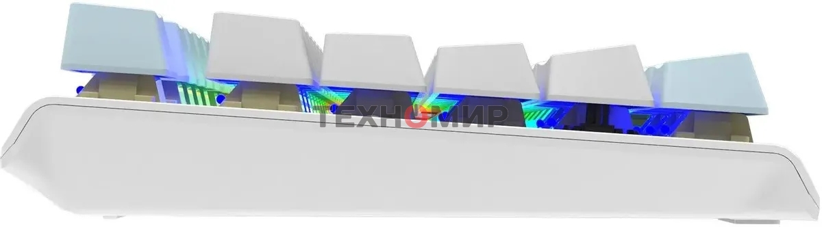 Клавиатура проводная A4Tech Fstyler FS100 Neon, USB, синий/белый