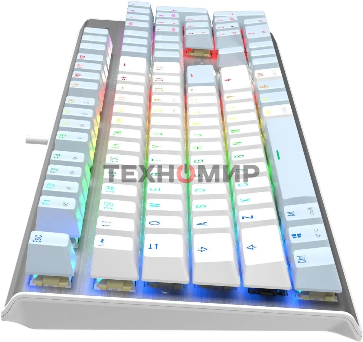 Клавиатура проводная A4Tech Fstyler FS100 Neon, USB, синий/белый