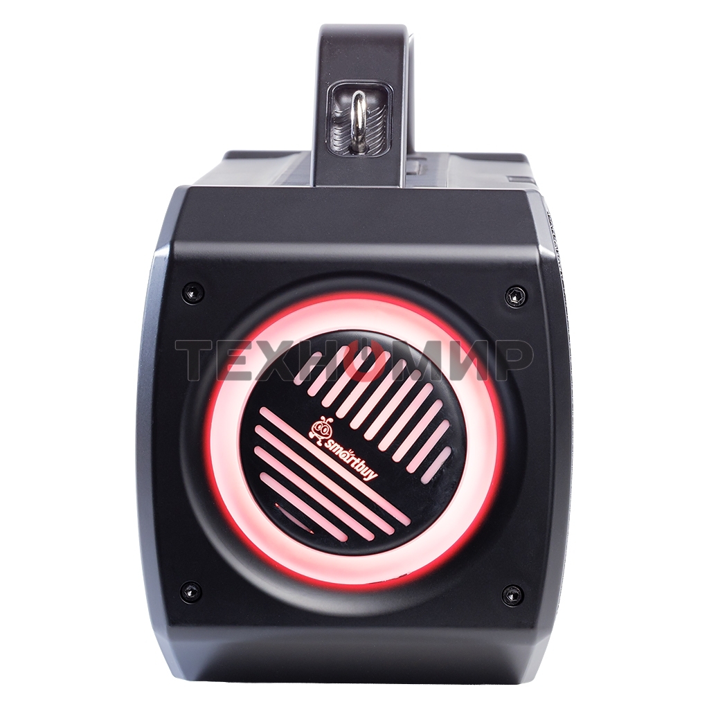 Портативная колонка Smartbuy (SBS-5820) FLYER черный