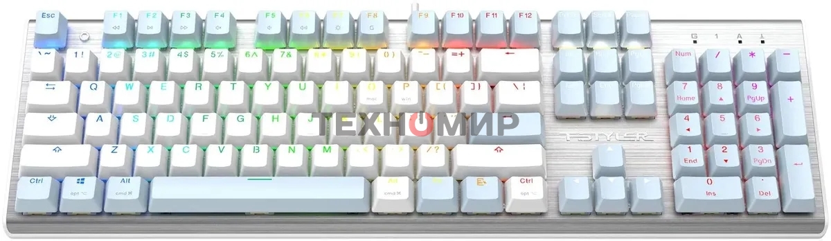 Клавиатура проводная A4Tech Fstyler FS100 Neon, USB, синий/белый