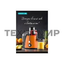 Соковыжималка центробежная Galaxy Line GL 0814 850 Вт рез.сок.:550мл. оранжевый