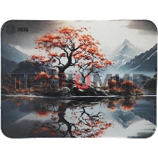 Коврик для мыши Cactus Lake 400x300x3мм (CS-MP-PRO18XL)