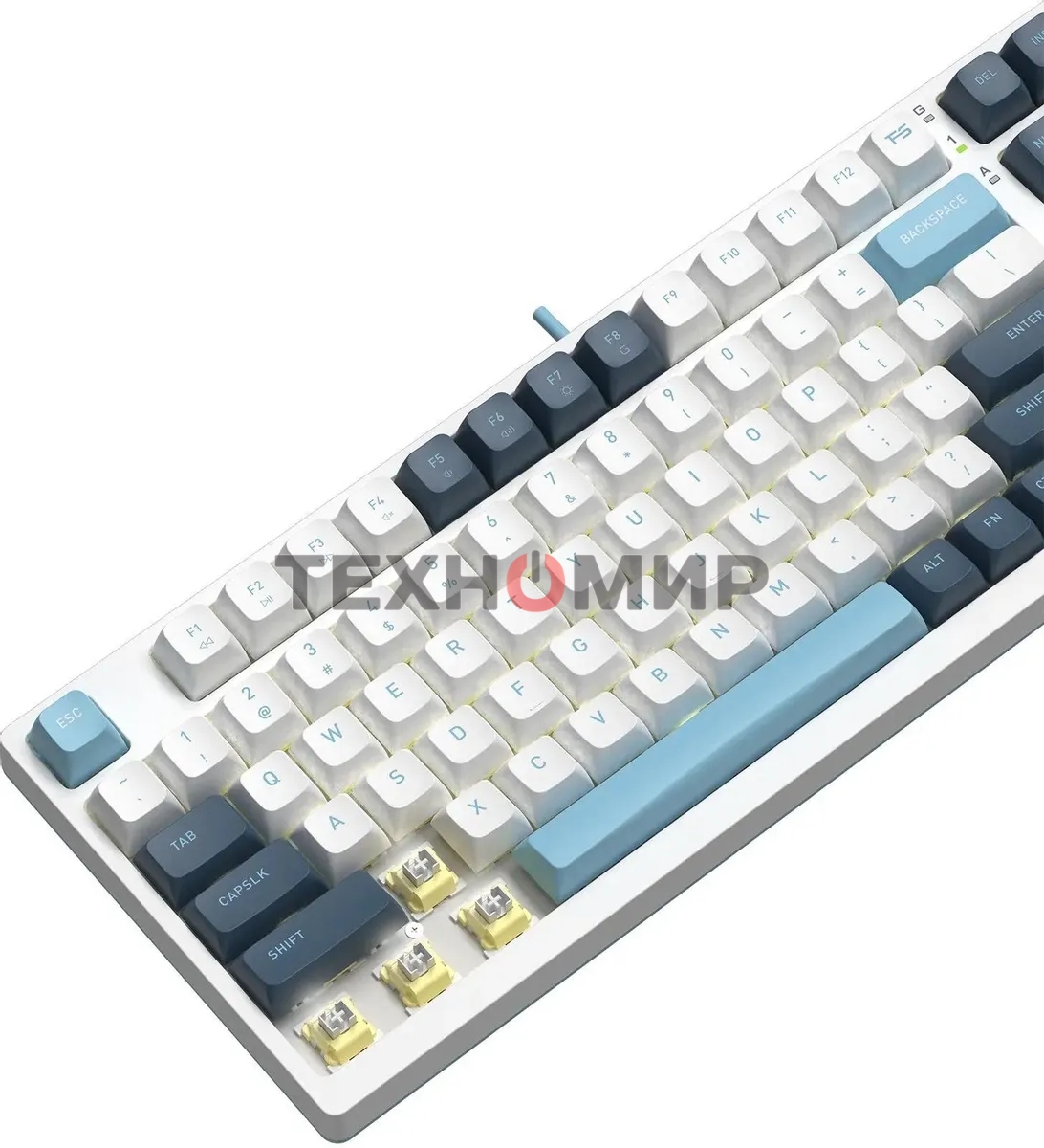 Клавиатура проводная A4Tech Fstyler FS300 (FS300 PANDA SNOWBOARDING), USB, белый/синий