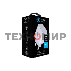Сетевое зарядное устройство Qumo Energy light (Charger 0051) PD 20W, 1USB, Type-C, белый