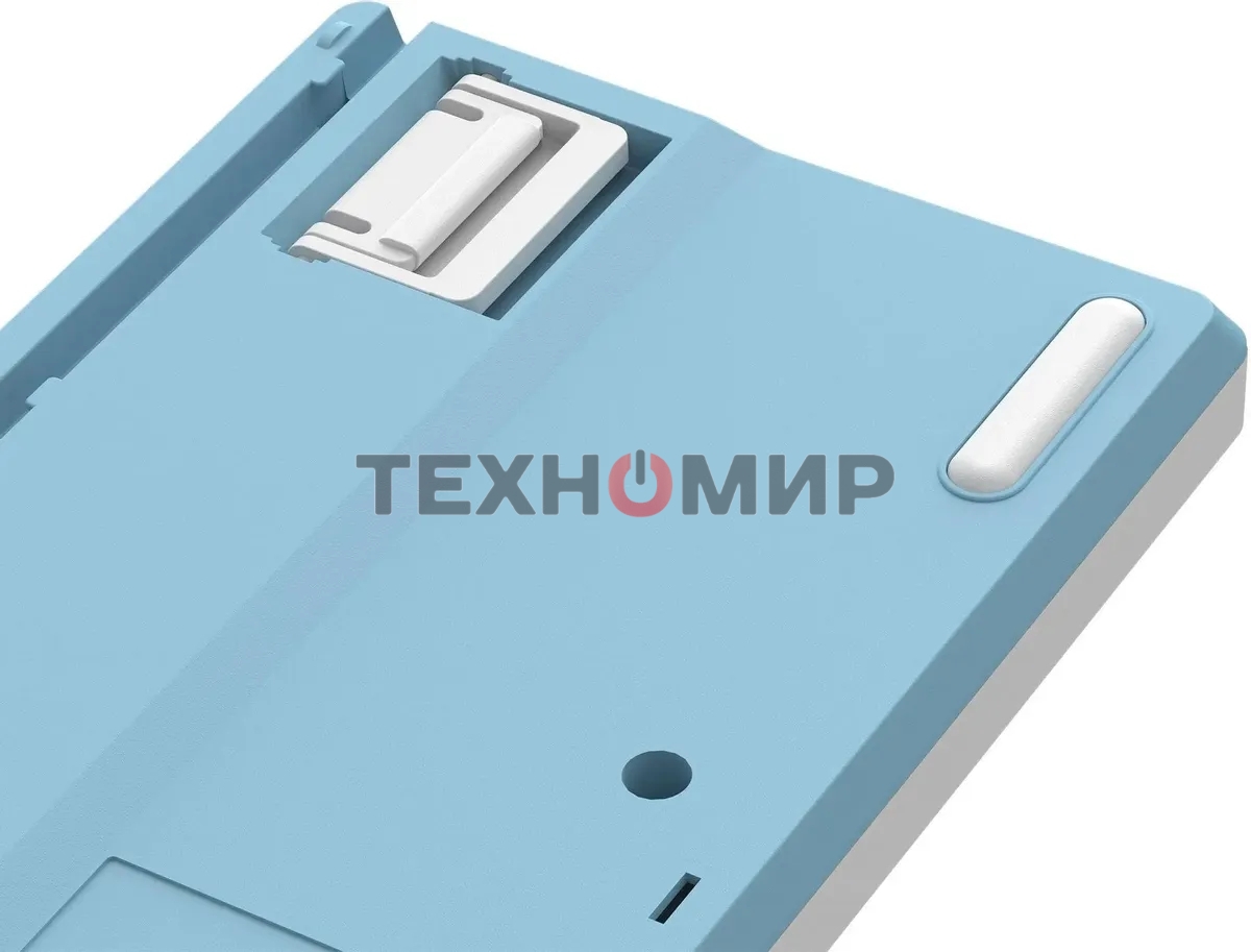 Клавиатура проводная A4Tech Fstyler FS300 (FS300 PANDA SNOWBOARDING), USB, белый/синий