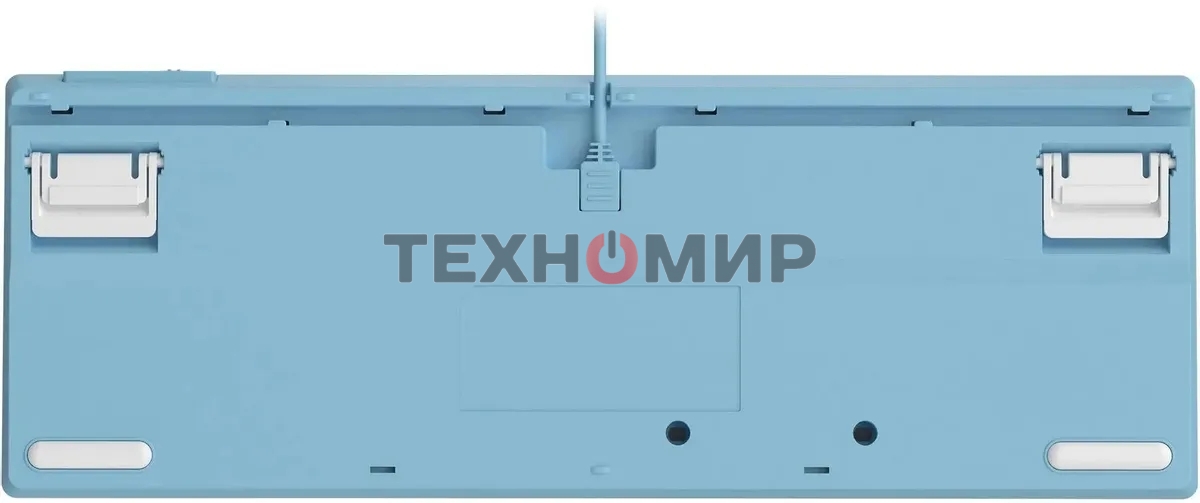 Клавиатура проводная A4Tech Fstyler FS300 (FS300 PANDA SNOWBOARDING), USB, белый/синий