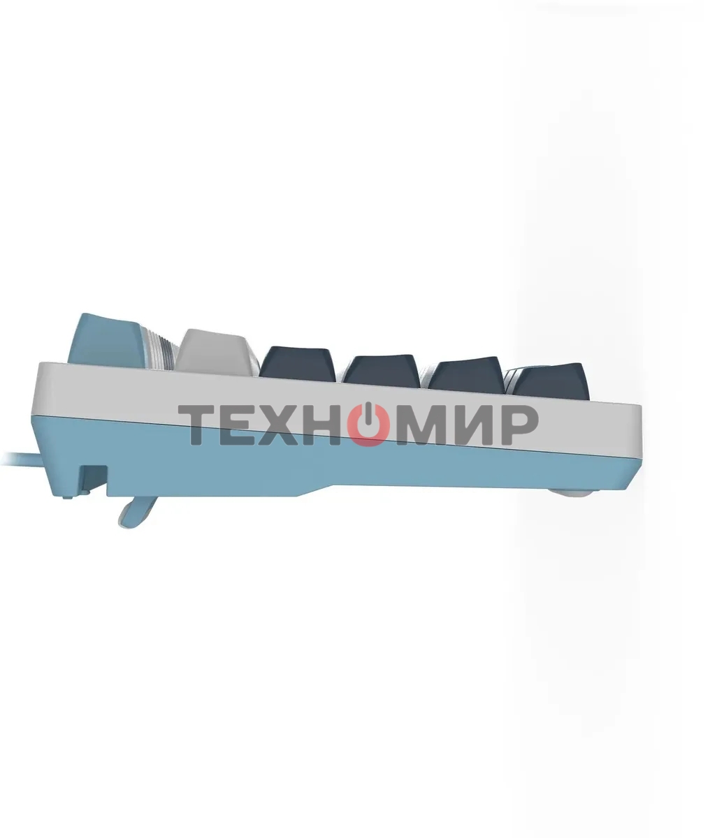 Клавиатура проводная A4Tech Fstyler FS300 (FS300 PANDA SNOWBOARDING), USB, белый/синий