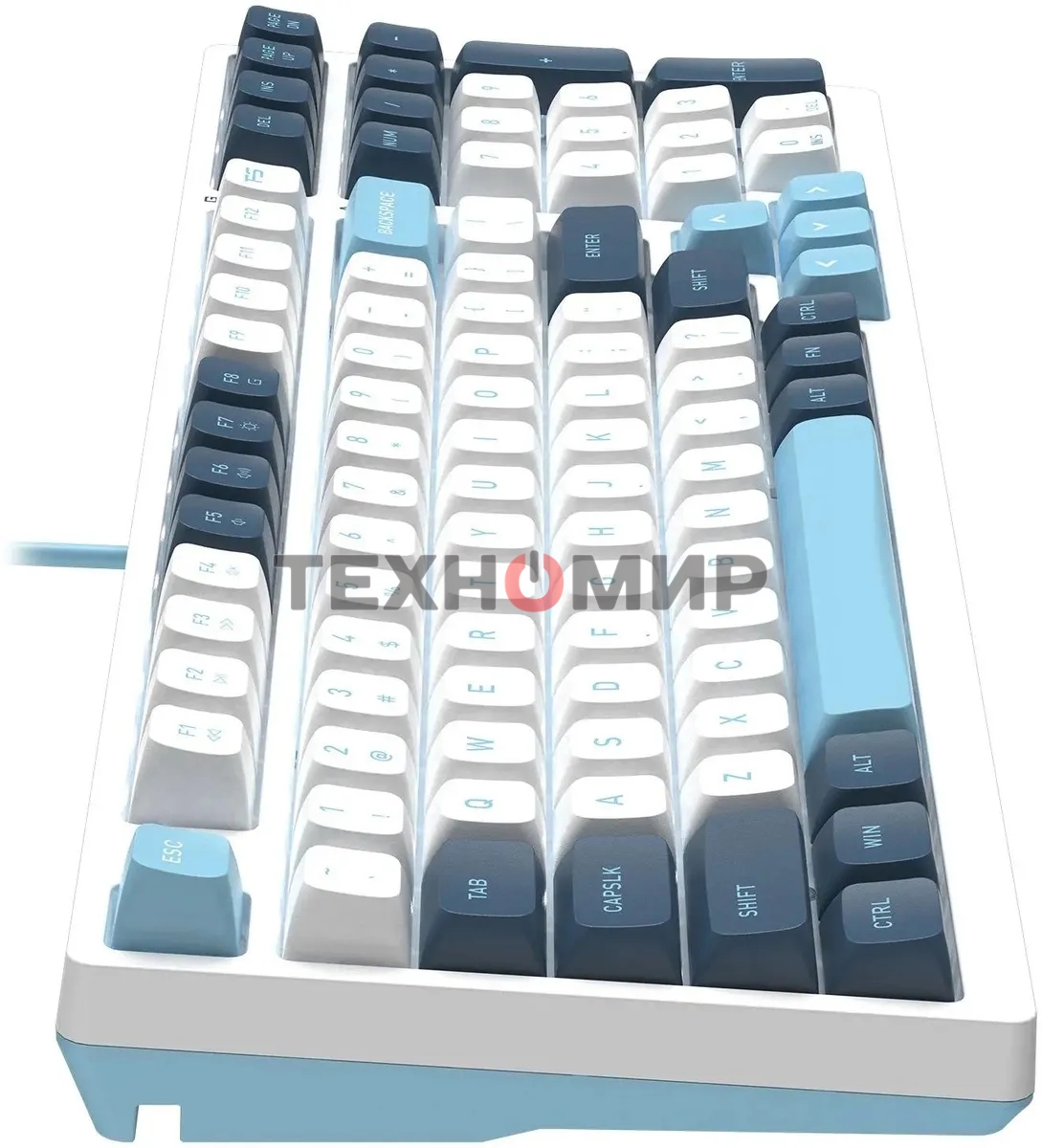 Клавиатура проводная A4Tech Fstyler FS300 (FS300 PANDA SNOWBOARDING), USB, белый/синий