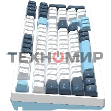 Клавиатура проводная A4Tech Fstyler FS300 (FS300 PANDA SNOWBOARDING), USB, белый/синий