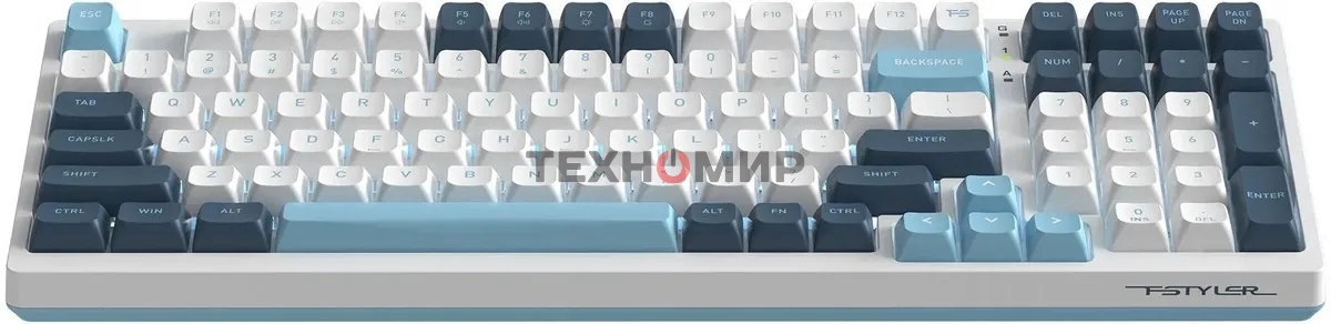 Клавиатура проводная A4Tech Fstyler FS300 (FS300 PANDA SNOWBOARDING), USB, белый/синий