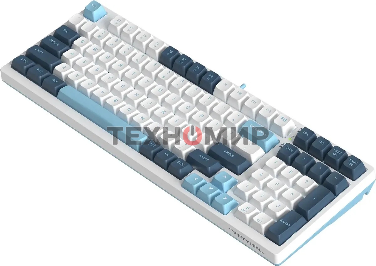 Клавиатура проводная A4Tech Fstyler FS300 (FS300 PANDA SNOWBOARDING), USB, белый/синий